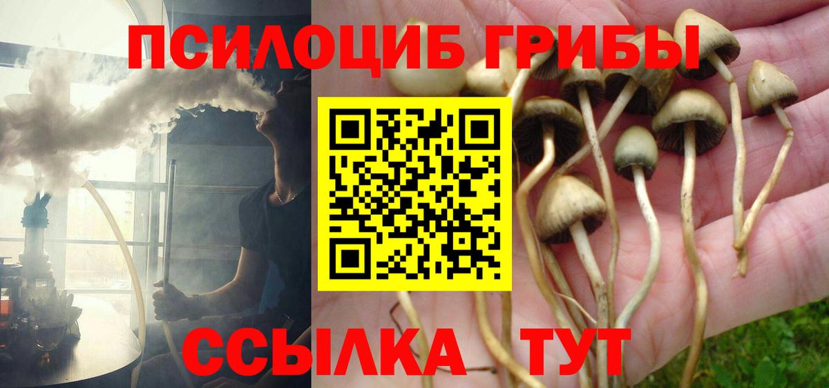 Псилоцибиновые грибы мицелий Красноперекопск